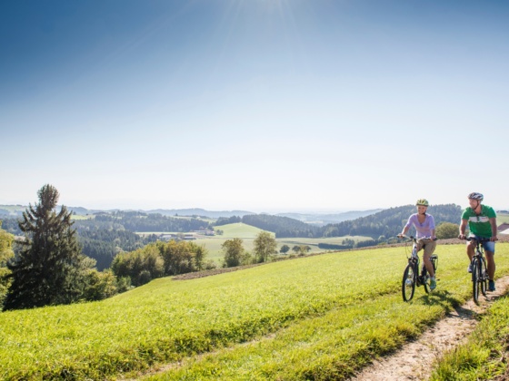 Radfahren im MV_Bad Zell MMGmbH_Erber_1