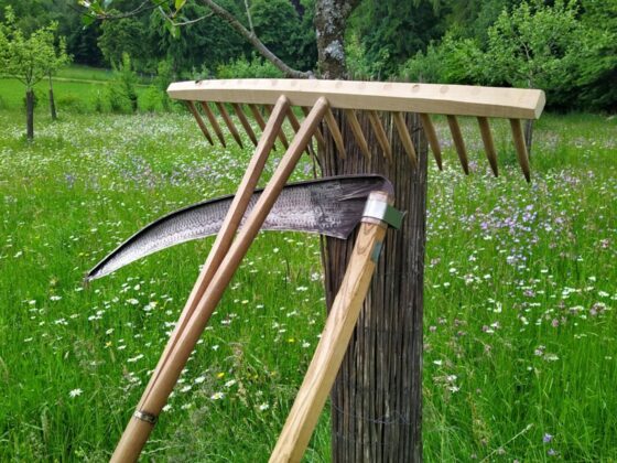 Mähen mit der Sense auf der Asinella Eselfarm