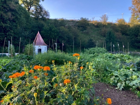 Kapellgarten Jaudenmühle