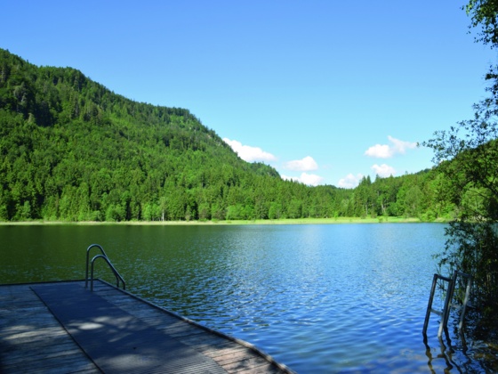 Schwansee