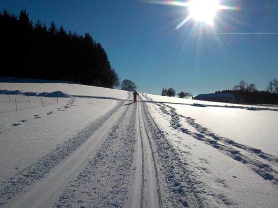 erdleiten-cp