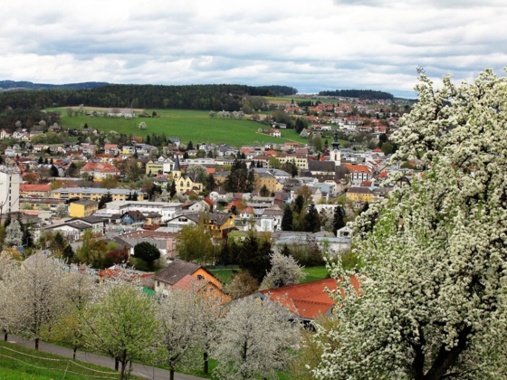 Gallneukirchen_Blick auf Galli_(c) Johann Dumfarth_4