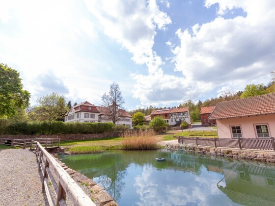 Schloss von Soden in Neustädtles mit Löschteich