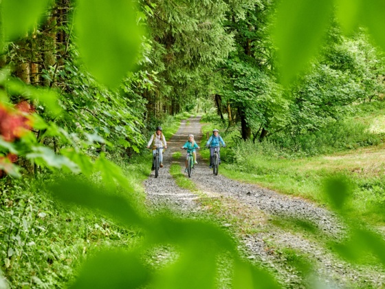 Auf Bikes durch die Rhön