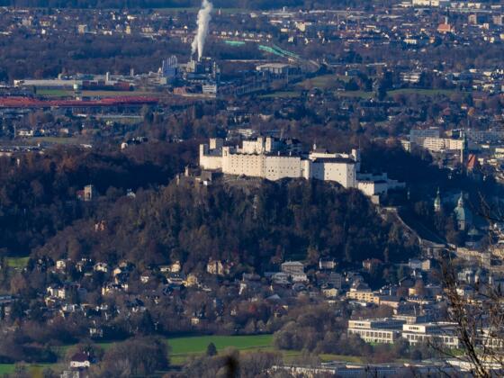 Blick auf die Festung Hohensalzburg von der Erentrudisalm