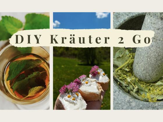 DYI Kräuter 2 Go