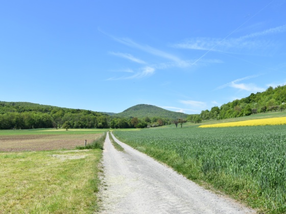 Kleiner Elstalweg, Rhön-Rundweg 11 Oberelsbach_1
