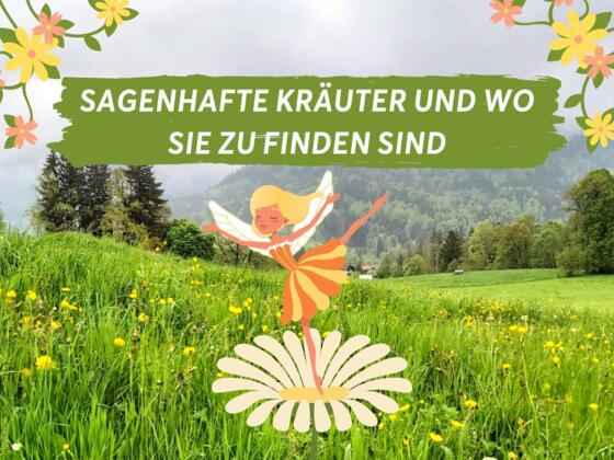Sagenhafte Kräuter und wo sie zu finden sind - Titelbild
