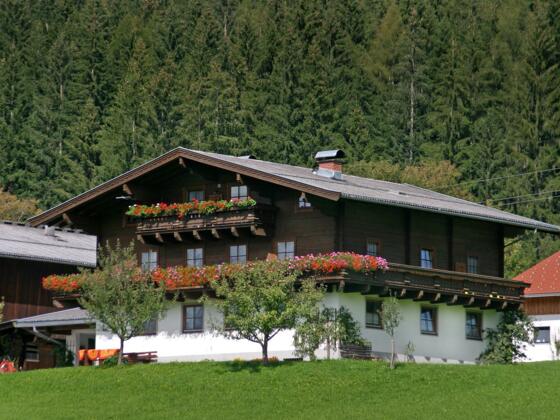 Leitenbauer