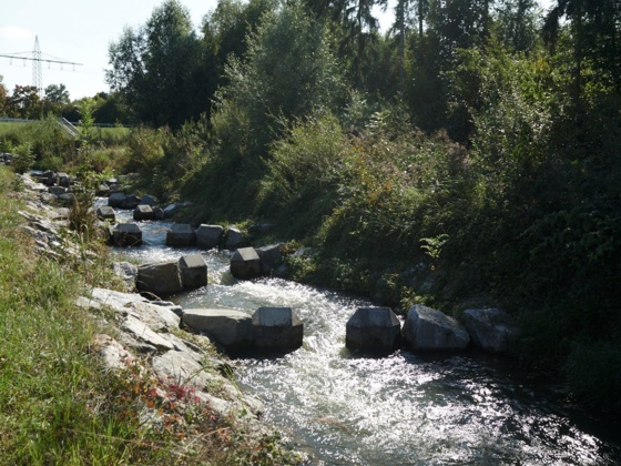 Fischtreppe Kaufering
