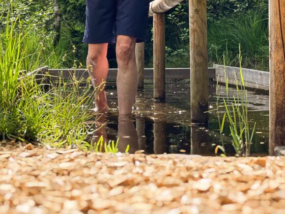 Moorbad Sibratsgfäll