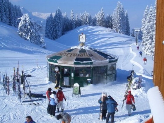 Schirmbar Geierwally