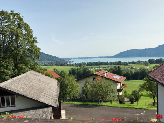 Blick auf den Attersee