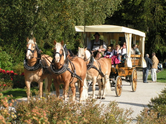 Kutschfahrten Sprenger