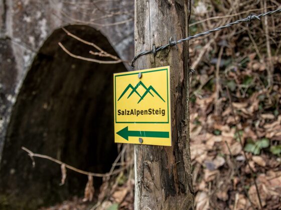 Der Stollenweg ist Teil des SalzAlpenSteiges