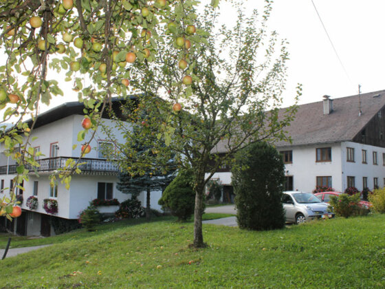 Ferienwohnung Bauernhof Kreutzer im Attergau