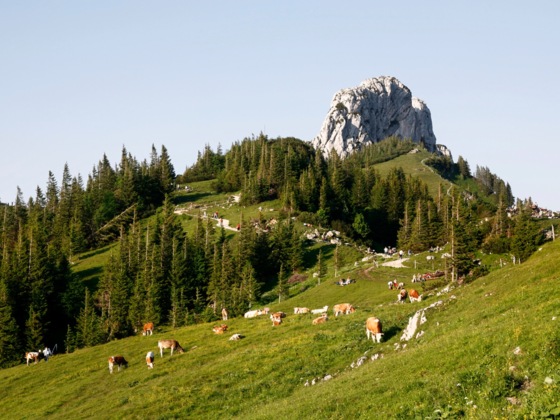 Kampenwand