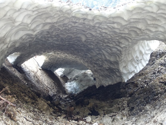 Eiskapelle innen