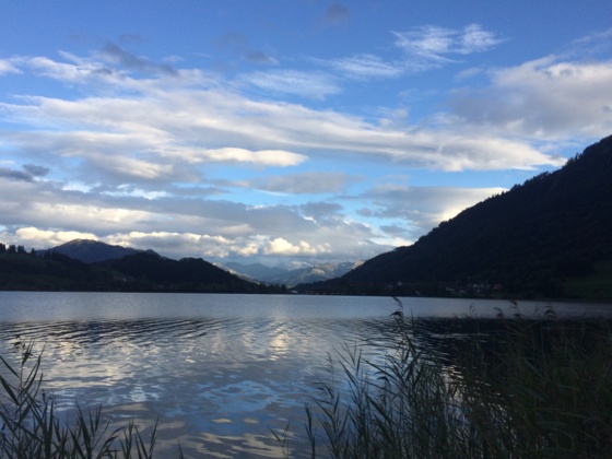 Blick auf den großen Alpsee