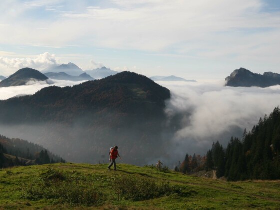 Oberhalb des Spitzsteinhaus