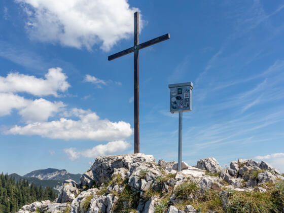 Gipfelkreuz am Dachsteinblick (1559 m).