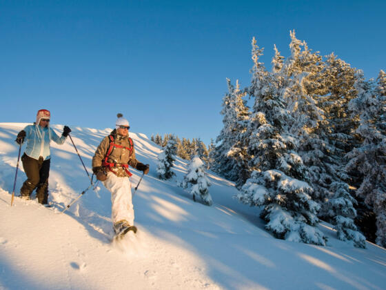 Schneeschuhwandern_Alpbachtal.jpeg