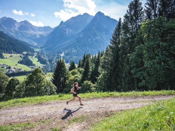 Trailrunning am Rohrweg
