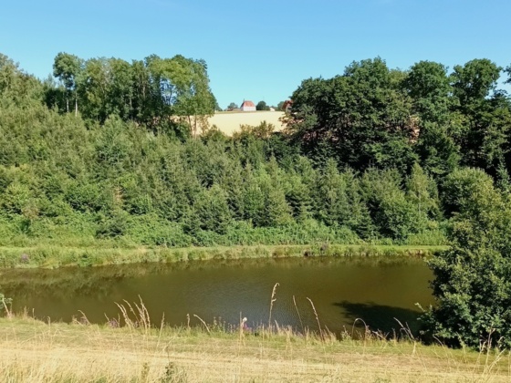 Blick nach Herrnfehlburg aus dem Kinsachtal