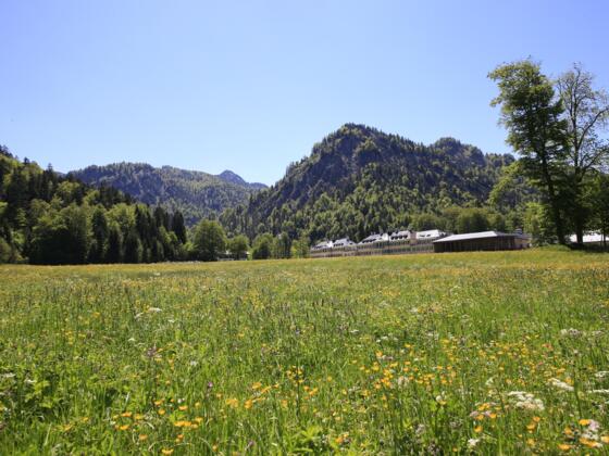 Wildbad Kreuth