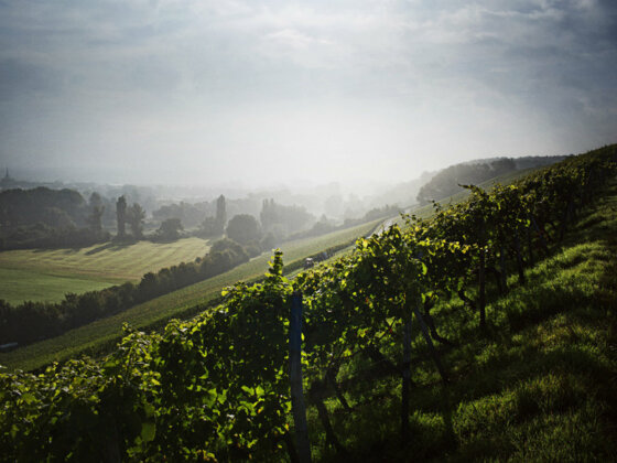 Franken Weinregionen