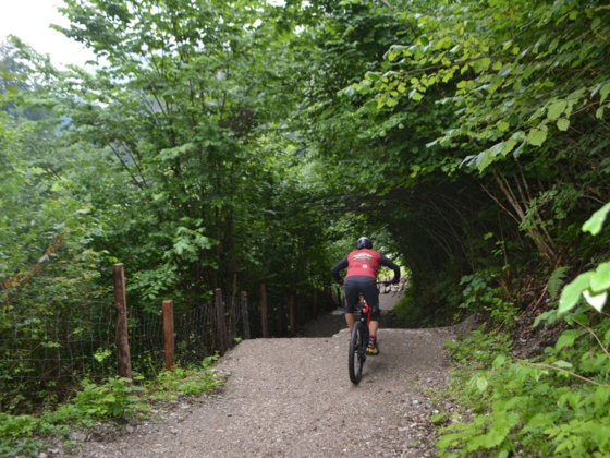 Bikeparcours Unken Friedlwirt