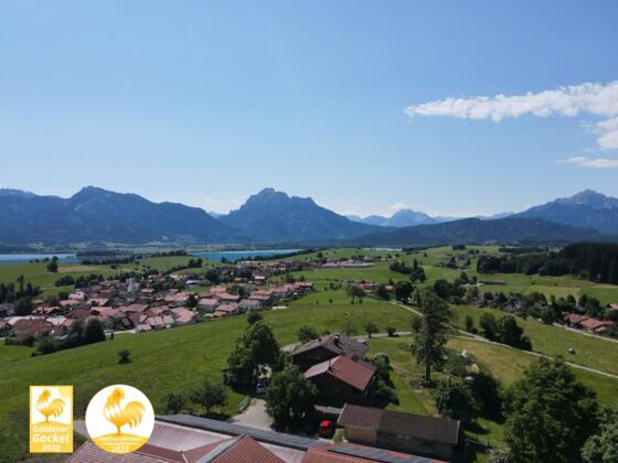 Goldener Gockel 2019 + 2022 herzliche Gastgeber