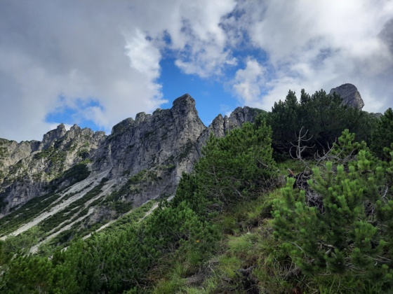 Blick hinauf Richtung Elser Fürkele und Elser Spitze