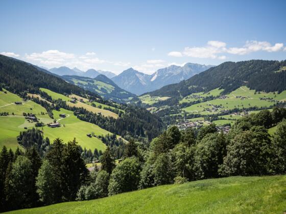 Blick auf Alpbach