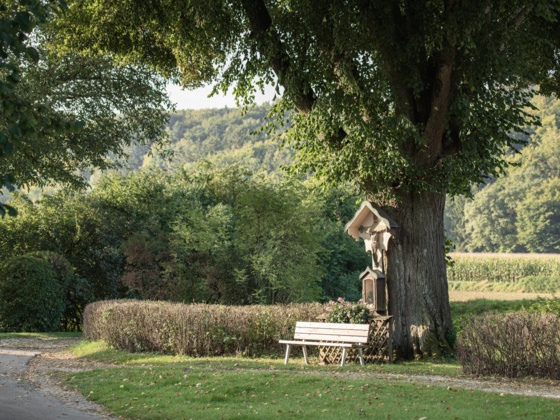 Marterl bei Saal a.d. Donau