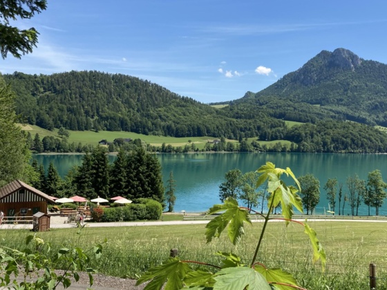 Blick auf Badeplatz Stöllinger