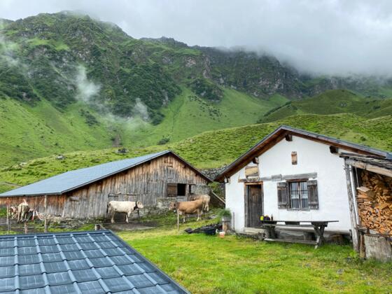Aussergweilalpe