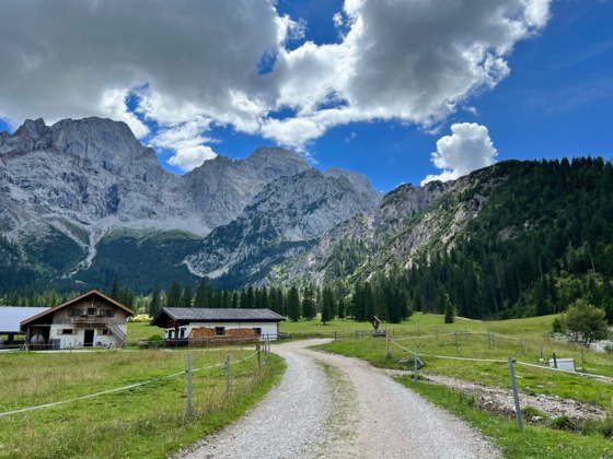 Rontalalm