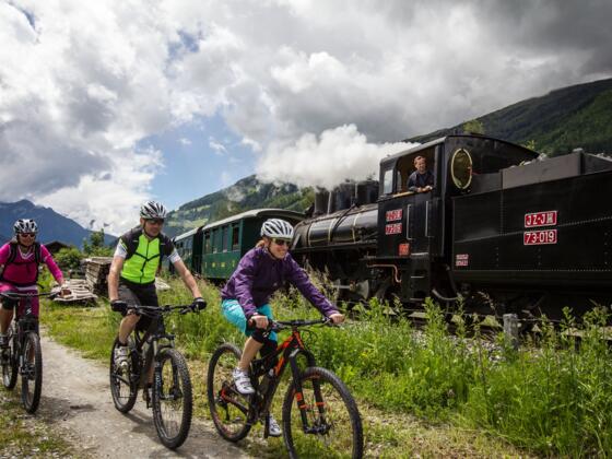 Mountainbiken in der Wildkogel-Arena