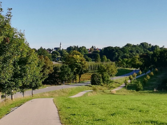 Zwischen Attenkirchen und Pfettrach mit Blick auf Attenkirchen