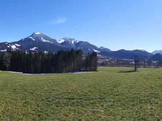 99c06907-fe35-4dbb-995f-dc4794434c68