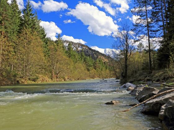 20170502-088-weissachmit-blauberg
