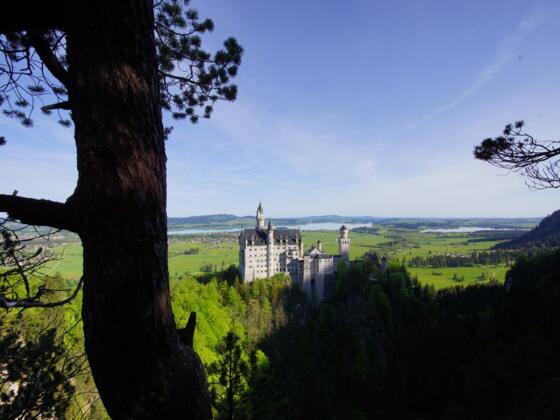 Neuschwanstein