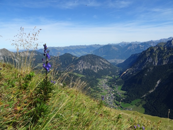 Blick auf Brand