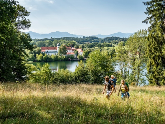 Weinbergaussicht