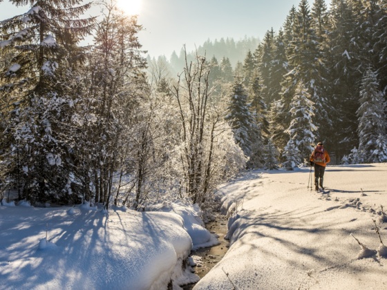 Winterwandern
