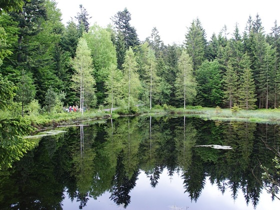 Grimmeisenweiher