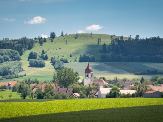 Der Gelbe Berg hinter Sammenheim