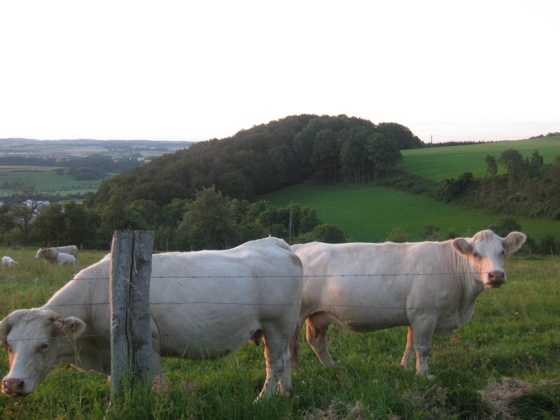 Blick auf Aalen