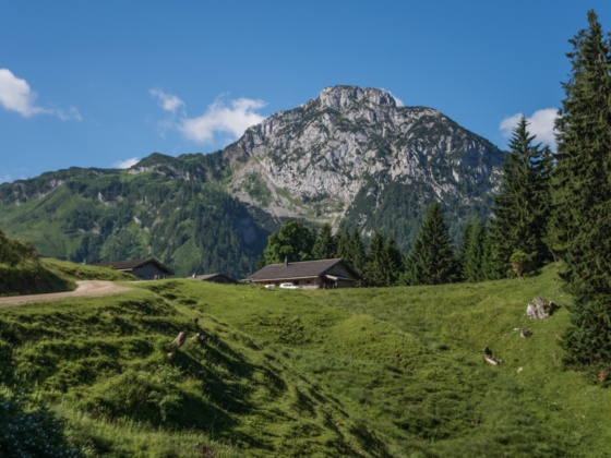 kurz vor der Kammerlingalm im Naturpark Weißbach